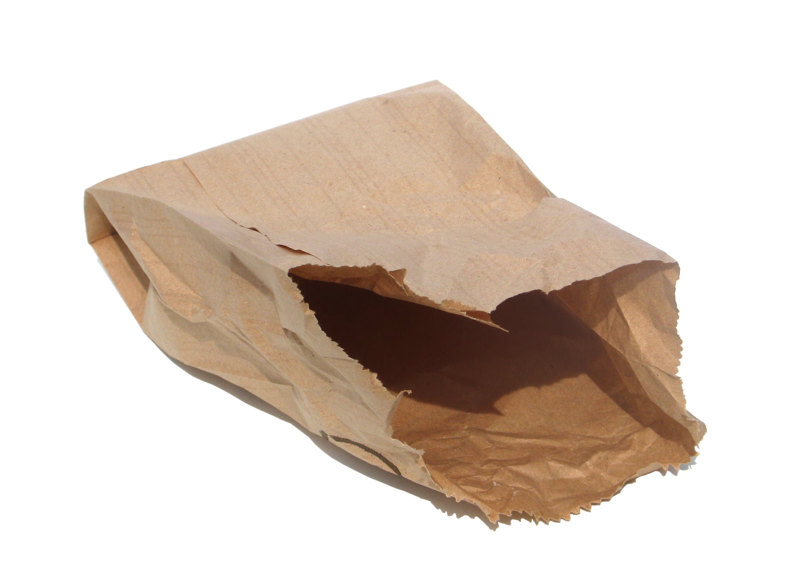 Empty-Paper-Bag.jpg